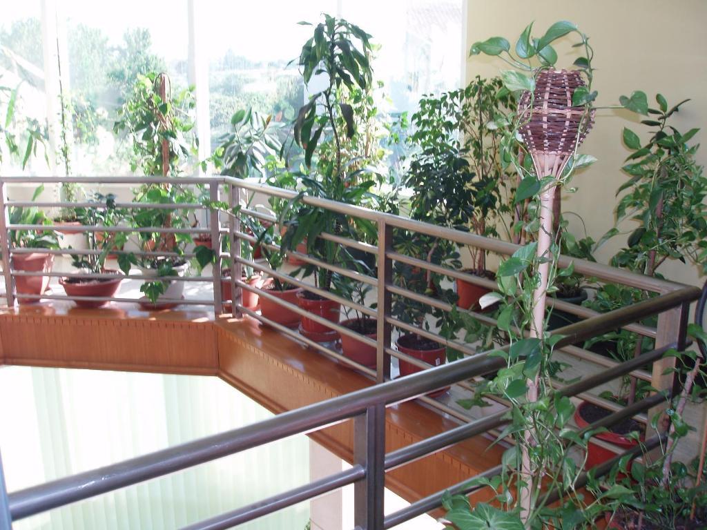 拉芙汽车旅馆 Čapljina 外观 照片